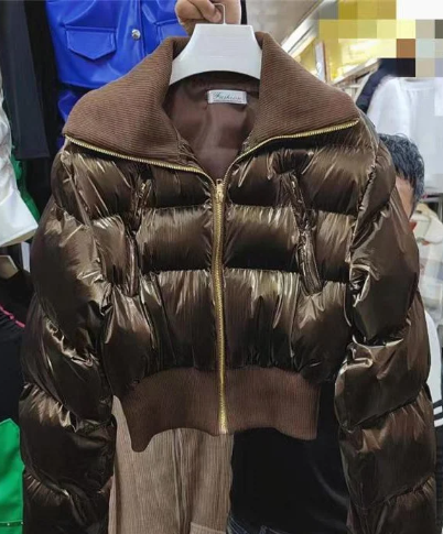 Puffer Mettlalic Jackets