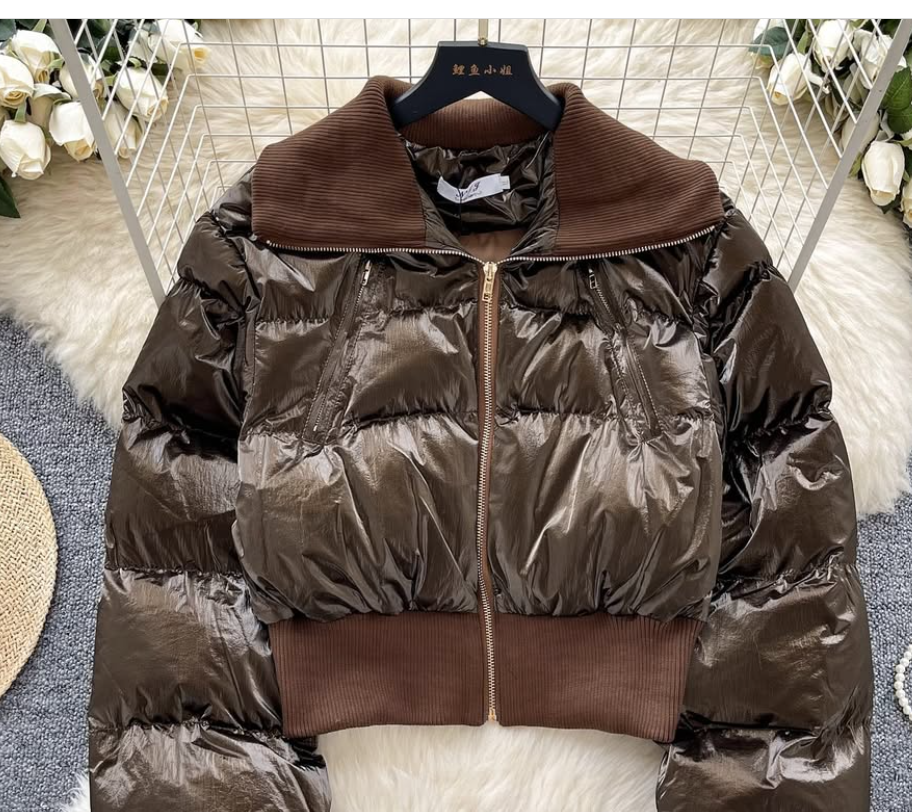 Puffer Mettlalic Jackets