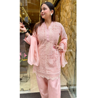 " ARYA "--FARSI SALWAR DESIGNER SUIT